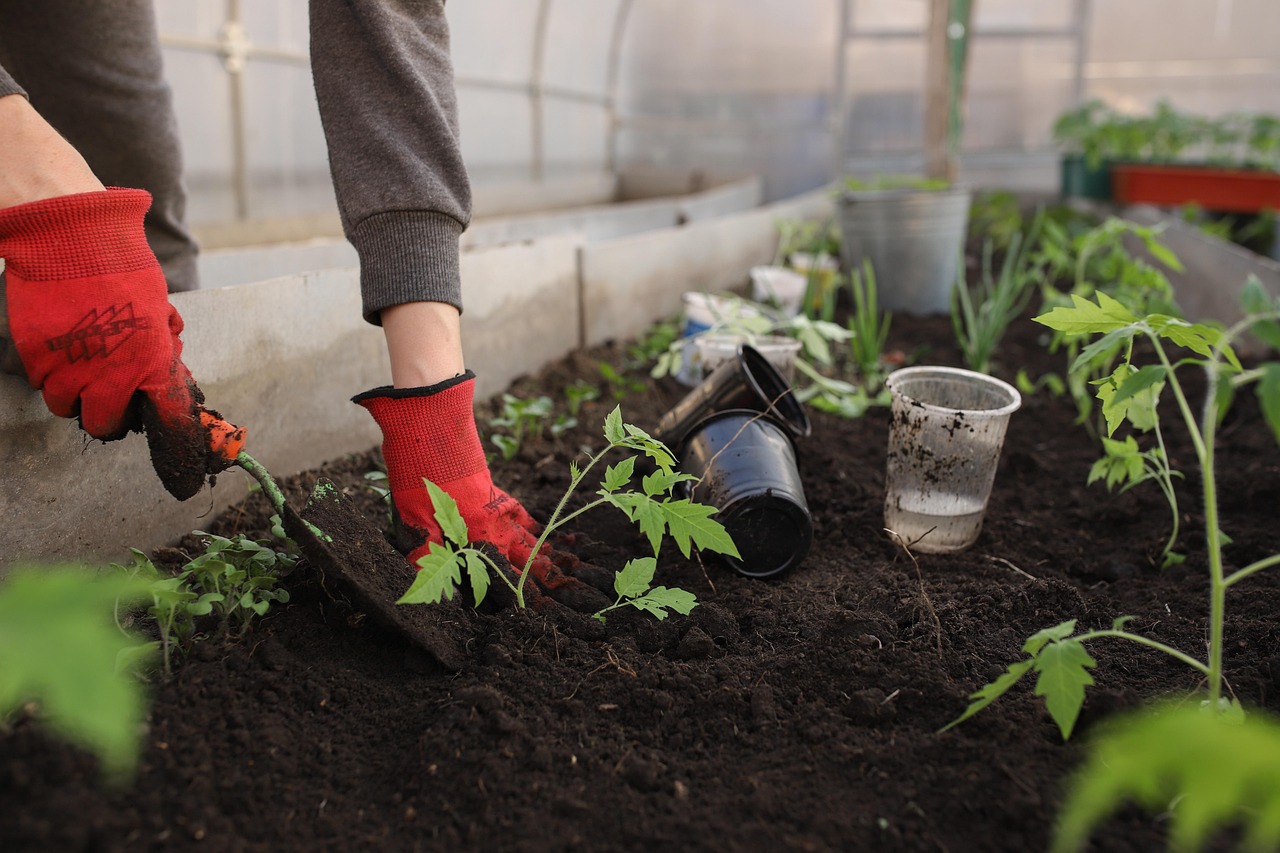 Tierra adecuada para plantas en un jardín, mostrando diferentes tipos de suelos y texturas.